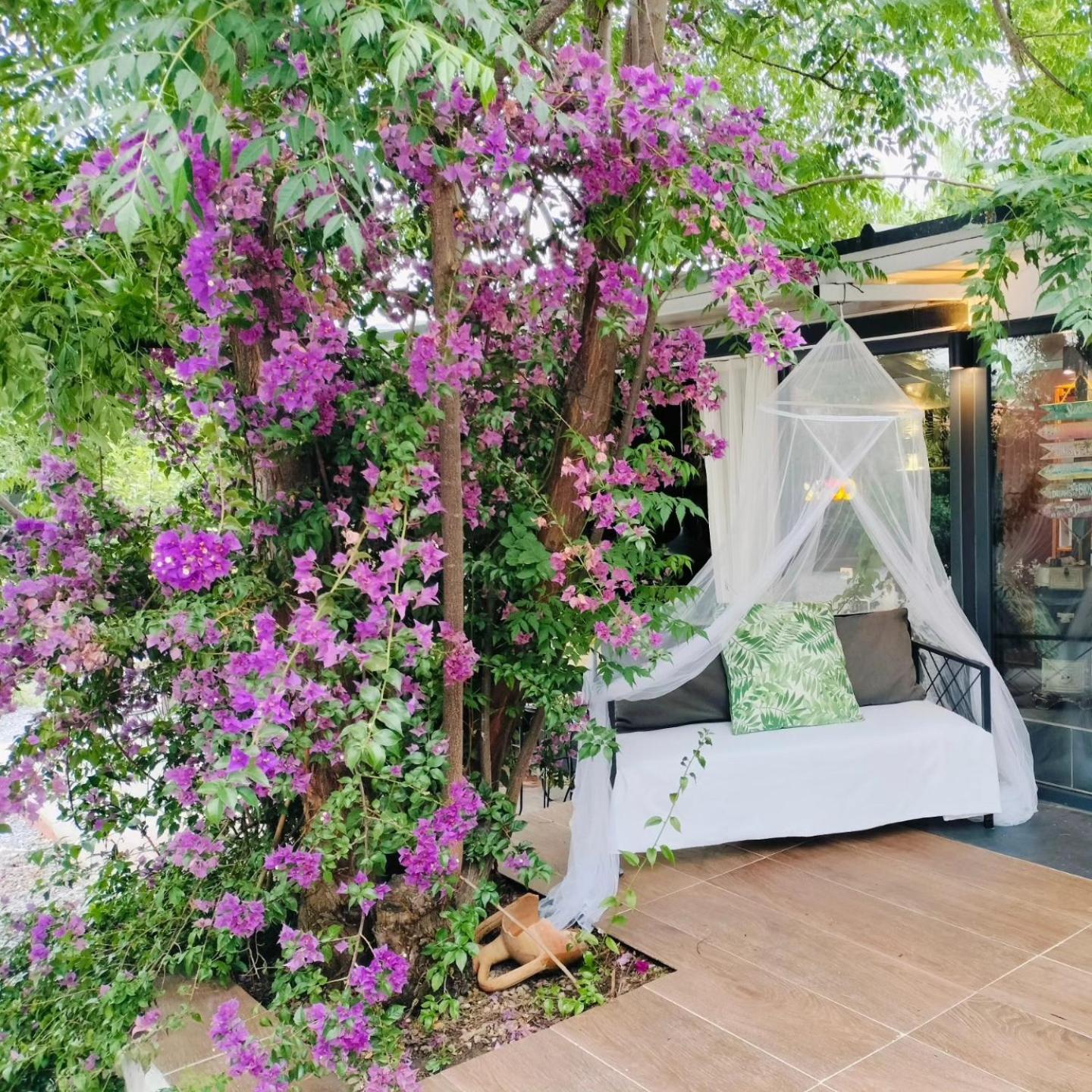 Baykus Guesthouse-Konukevi Soke ภายนอก รูปภาพ